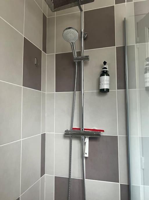 Appartement Proche Des Facs Lebon 클레르몽페랑 외부 사진